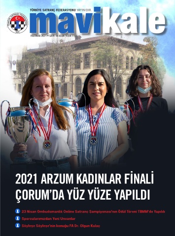 Mavi Kale · Sayı 46 kapak görseli